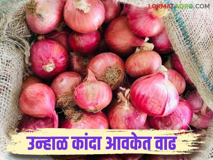 Kanda Bajar Bhav : Arrival of summer onions has started in Satara Market Committee; How are you getting the price? | Kanda Bajar Bhav : सातारा बाजार समितीत उन्हाळ कांद्याची आवक सुरु; कसा मिळतोय दर? Kanda Bajar Bhav : Arrival of summer onions has started in Satara Market Committee; How are you getting the price? | Kanda Bajar Bhav : सातारा बाजार समितीत उन्हाळ कांद्याची आवक सुरु; कसा मिळतोय दर?