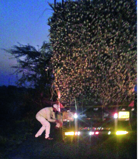 Sprinkled sugarcane prototype! | ऊस दर आंदोलनाची फलटणमध्ये ठिणगी! Sprinkled sugarcane prototype! | ऊस दर आंदोलनाची फलटणमध्ये ठिणगी!