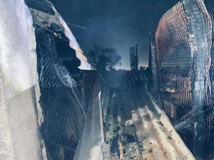 Satara: 40 pigeons died due to fire in Satara, suspected to have set the fire by unknown persons | Satara: साताऱ्यात ढाबळ पेटवल्याने ४० कबुतरांचा मृत्यू, अज्ञाताने आग लावल्याचा संशय Satara: 40 pigeons died due to fire in Satara, suspected to have set the fire by unknown persons | Satara: साताऱ्यात ढाबळ पेटवल्याने ४० कबुतरांचा मृत्यू, अज्ञाताने आग लावल्याचा संशय