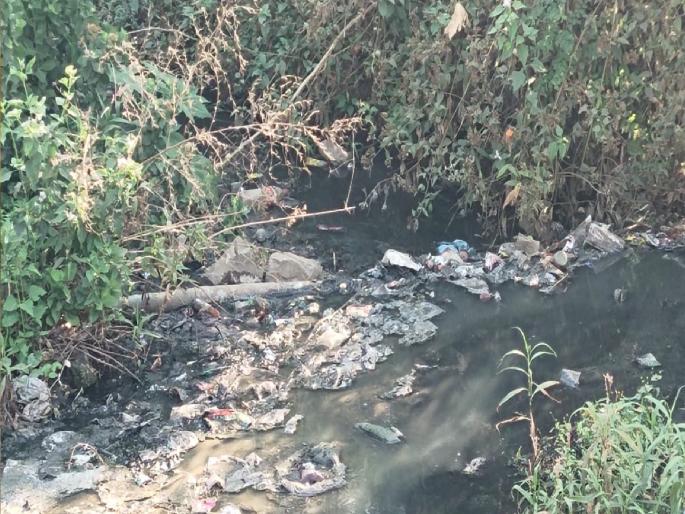 Contaminated water supply in Gulmohar Colony in Satara, health of citizens in danger | खाली जलवाहिनी, वर गटाराचे पाणी; सातारकरांचे आरोग्य धोक्यात Contaminated water supply in Gulmohar Colony in Satara, health of citizens in danger | खाली जलवाहिनी, वर गटाराचे पाणी; सातारकरांचे आरोग्य धोक्यात