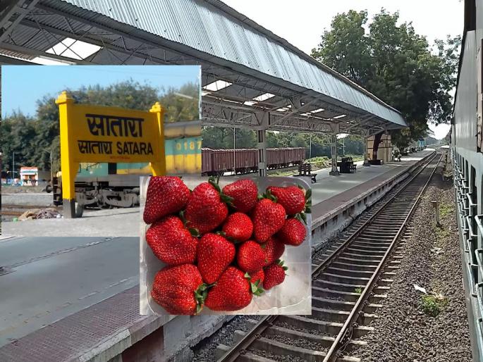 Positive thinking if proposed selling strawberries at railway station says Indurani Dubey | रेल्वे स्टेशनवर स्ट्रॉबेरी विकण्याबाबत प्रस्ताव दिल्यास सकारात्मक विचार - इंदुराणी दुबे Positive thinking if proposed selling strawberries at railway station says Indurani Dubey | रेल्वे स्टेशनवर स्ट्रॉबेरी विकण्याबाबत प्रस्ताव दिल्यास सकारात्मक विचार - इंदुराणी दुबे