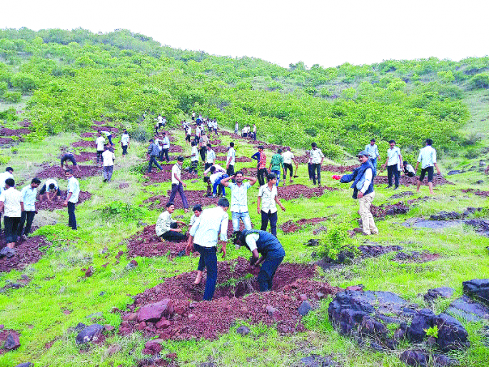 Planting plants will occur; Plantation at the palace of Rajamachi | माळरान भकास.. रोपांनी होणार झकास; राजमाची शिवारात वृक्षारोपण