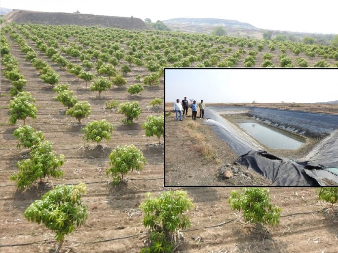 Farmers of Satara district bring water from Solapur district for orchards | Satara: पाण्यावर खर्च पाच लाख; तरी स्वप्नांची राख!; दुष्काळासाठी शासनाची दमडीची नाही मदत  Farmers of Satara district bring water from Solapur district for orchards | Satara: पाण्यावर खर्च पाच लाख; तरी स्वप्नांची राख!; दुष्काळासाठी शासनाची दमडीची नाही मदत