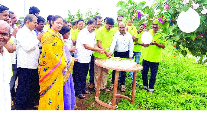 Cut the cake and celebrate the second birthday of the trees | केक कापून झाडांचा दुसरा वाढदिवस साजरा Cut the cake and celebrate the second birthday of the trees | केक कापून झाडांचा दुसरा वाढदिवस साजरा