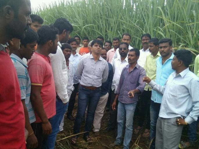 Death of husband and wife by spinning the lightning wire | महावितरणचा भोंगळ कारभार ? तुटलेल्या वीजेच्या तारांना चिटकून नवरा-बायकोचा मृत्यू Death of husband and wife by spinning the lightning wire | महावितरणचा भोंगळ कारभार ? तुटलेल्या वीजेच्या तारांना चिटकून नवरा-बायकोचा मृत्यू