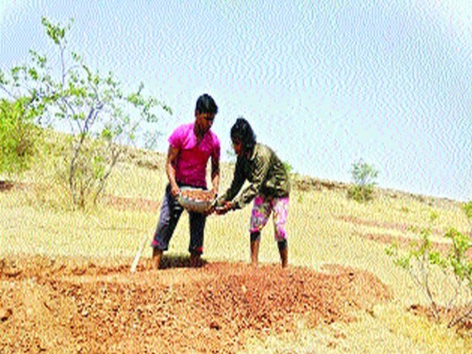 Sister-brother's fight for drought relief | दुष्काळमुक्तीसाठी बहीण-भावाचा लढा Sister-brother's fight for drought relief | दुष्काळमुक्तीसाठी बहीण-भावाचा लढा