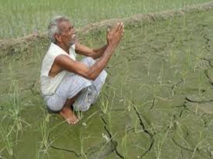 Government guidelines for seven lakh account holders of Satyabara Cora, Zilla Banks of Verharda | वऱ्हाडातील साडेतीन लाख खातेदारांचा सातबारा कोरा, जिल्हा बँकांना शासनाचे निर्देश