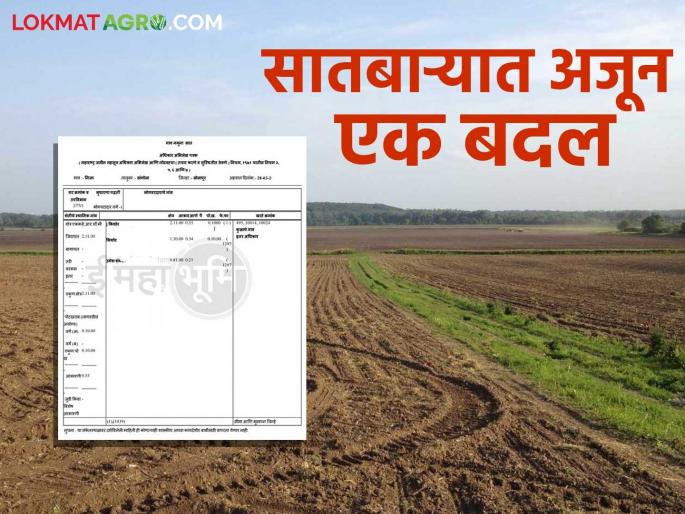 Divided more owner farmers registration will now be done on Satbara; What is the decision? Read in detail | सातबाऱ्यावर होणार आता पोटहिस्स्याची नोंद; काय आहे निर्णय? वाचा सविस्तर