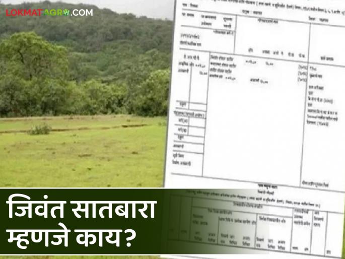 Satbara Mohim: latest news Know in detail 'Jivant Satbara Mohim' in Buldhana district | Satbara Mohim : बुलढाणा जिल्ह्यात 'जिवंत सातबारा मोहीम' जाणून घ्या सविस्तर Satbara Mohim: latest news Know in detail 'Jivant Satbara Mohim' in Buldhana district | Satbara Mohim : बुलढाणा जिल्ह्यात 'जिवंत सातबारा मोहीम' जाणून घ्या सविस्तर