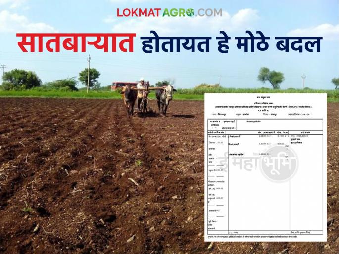 Satbara will now be clearer and more flexible, these changes are taking place; know in detail | सातबारा होणार आता अधिक स्पष्ट आणि सुटसुटीत, होतायत हे बदल; जाणून घ्या सविस्तर