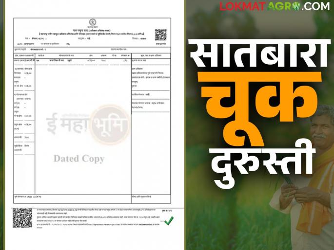 Satbara Durusti : If there is a mistake in the Satbara, how to correct it? Read in detail | Satbara Durusti : सातबाऱ्यात चूक असेल तर दुरुस्त कशी करायची? वाचा सविस्तर Satbara Durusti : If there is a mistake in the Satbara, how to correct it? Read in detail | Satbara Durusti : सातबाऱ्यात चूक असेल तर दुरुस्त कशी करायची? वाचा सविस्तर