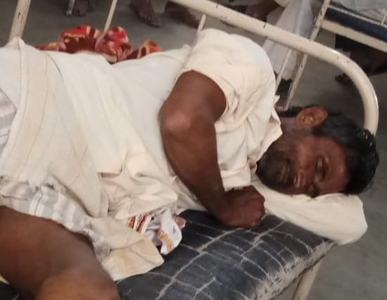 Randukar farmer attacked in Satgaon hillari in Pachora taluka | पाचोरा तालुक्यातील सातगाव डोंगरी येथे रानडुकराचा शेतकऱ्यावर हल्ला Randukar farmer attacked in Satgaon hillari in Pachora taluka | पाचोरा तालुक्यातील सातगाव डोंगरी येथे रानडुकराचा शेतकऱ्यावर हल्ला