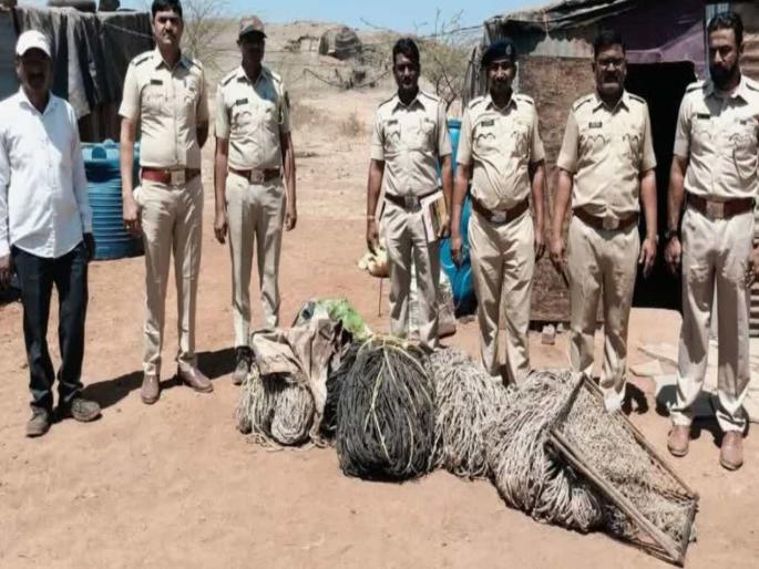 Weapon and other hunting equipment seized from Satish Bhosale house | 'खोक्या'च्या घरात वाळलेले मांस अन् शिकारीचे जाळे Weapon and other hunting equipment seized from Satish Bhosale house | 'खोक्या'च्या घरात वाळलेले मांस अन् शिकारीचे जाळे