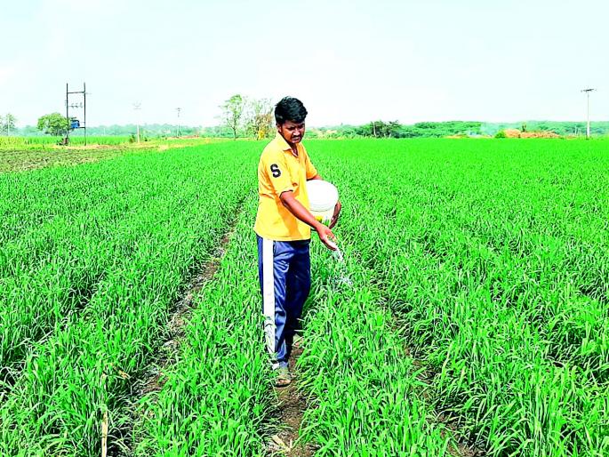 Why do young people just pick up satranjya? | तरुणांनी फक्त सतरंज्या उचलायच्या का? Why do young people just pick up satranjya? | तरुणांनी फक्त सतरंज्या उचलायच्या का?