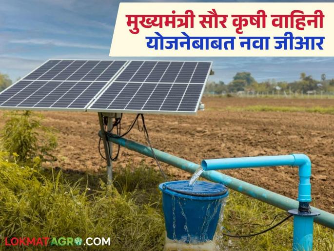 Latest News new government GR made regarding tree felling under saur krushi vahini scheme | Saur Krushi Vahini : मुख्यमंत्री सौर कृषी वाहिनी योजनेंतर्गत वृक्ष तोडीबाबत नवा शासन निर्णय आला! Latest News new government GR made regarding tree felling under saur krushi vahini scheme | Saur Krushi Vahini : मुख्यमंत्री सौर कृषी वाहिनी योजनेंतर्गत वृक्ष तोडीबाबत नवा शासन निर्णय आला!