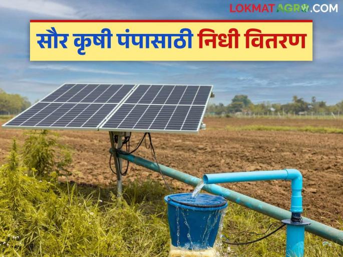 Latest news agriculture News Approval for distribution of Rs 100 crores for solar agricultural pumps, read in detail | Saur krushi Pump Yojana : सौर कृषि पंपासाठी 100 कोटींच्या निधी वितरणास मंजुरी, वाचा सविस्तर  Latest news agriculture News Approval for distribution of Rs 100 crores for solar agricultural pumps, read in detail | Saur krushi Pump Yojana : सौर कृषि पंपासाठी 100 कोटींच्या निधी वितरणास मंजुरी, वाचा सविस्तर