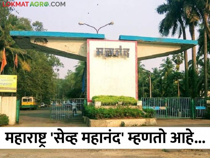 Latest news necessary to maintain the cooperative brand 'Mahanand' in milk in Maharashtra | Mahanand Milk : महाराष्ट्र 'सेव्ह महानंद' का म्हणतो आहे? नेमकं गणित समजून घ्या...  Latest news necessary to maintain the cooperative brand 'Mahanand' in milk in Maharashtra | Mahanand Milk : महाराष्ट्र 'सेव्ह महानंद' का म्हणतो आहे? नेमकं गणित समजून घ्या...