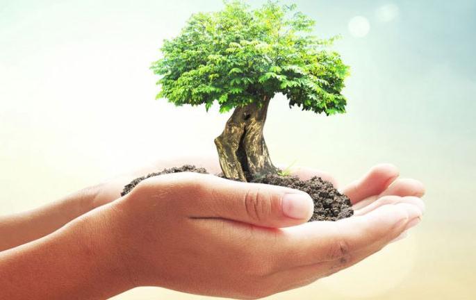 Drive to save tree in Khamgaon | खामगावात ७५० झाडे जगविण्यासाठी अनोखी धडपड!