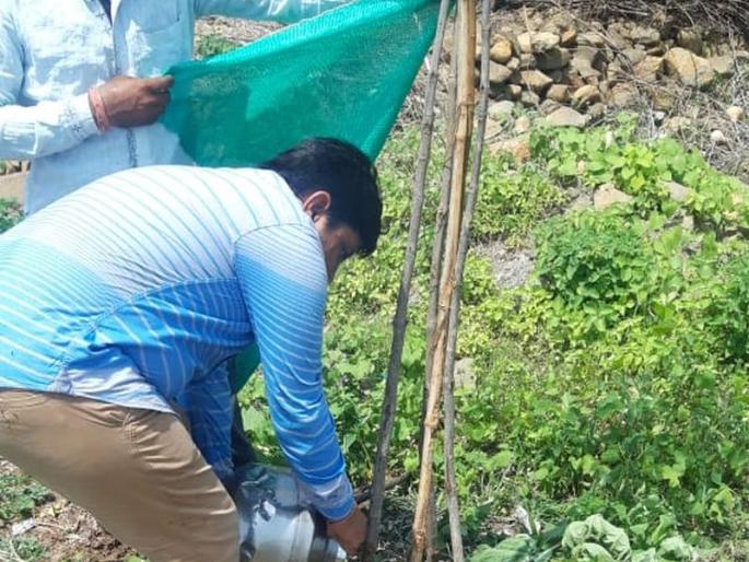 Water for the tree to survive; TANKA Villagers Program | वृक्ष जगविण्यासाठी हंड्याने पाणी; टनका ग्रामस्थांचा उपक्रम Water for the tree to survive; TANKA Villagers Program | वृक्ष जगविण्यासाठी हंड्याने पाणी; टनका ग्रामस्थांचा उपक्रम