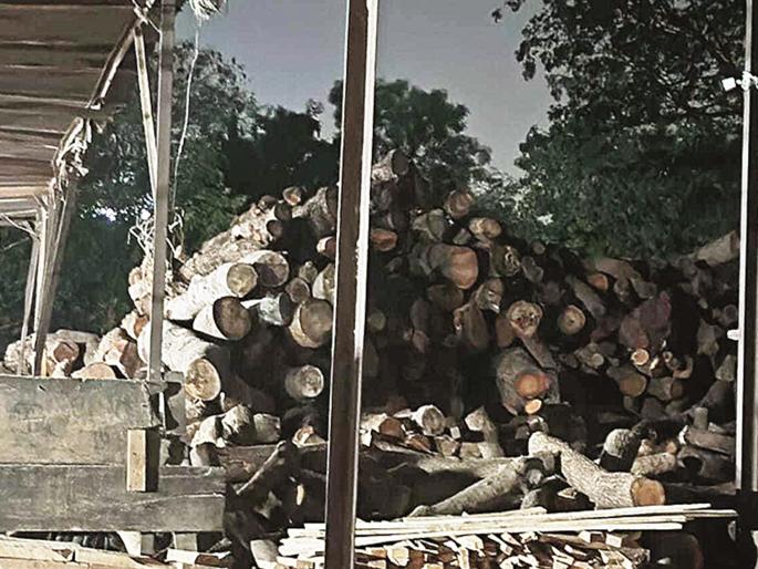 60 timber logging factories have licenses, the rest are awaiting action from the Forest Department | ६० लाकूड कटाई कारखान्यांकडे परवाने, बाकीच्यांवर वन विभागाकडून कारवाईची प्रतीक्षाच 60 timber logging factories have licenses, the rest are awaiting action from the Forest Department | ६० लाकूड कटाई कारखान्यांकडे परवाने, बाकीच्यांवर वन विभागाकडून कारवाईची प्रतीक्षाच