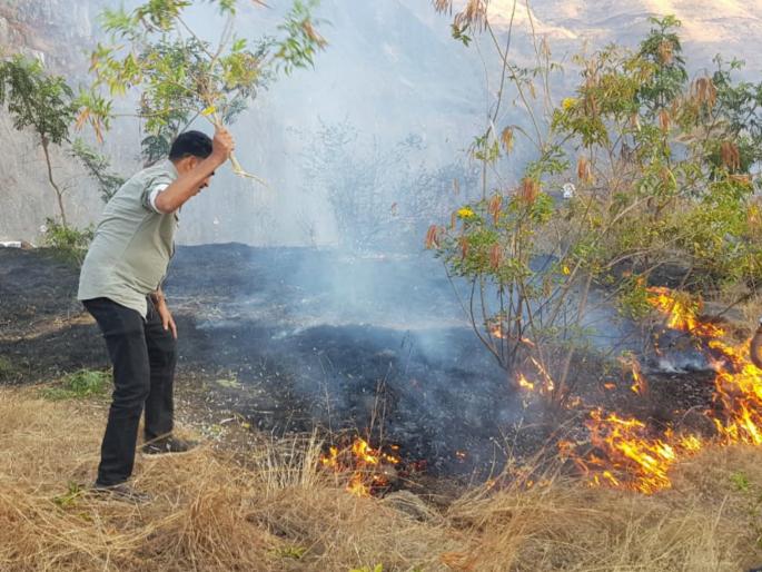 sayaji shinde rush to stop spreading of fire at katraj hill rsg | सयाजी शिंदेंची तत्परता ; डाेंगराला आग लागल्याचे कळताच गाडी थांबवून विझवली आग sayaji shinde rush to stop spreading of fire at katraj hill rsg | सयाजी शिंदेंची तत्परता ; डाेंगराला आग लागल्याचे कळताच गाडी थांबवून विझवली आग