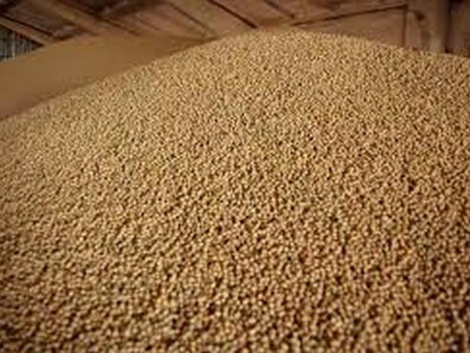 Soybean rate nine thousand per quintal in washim | सोयाबीनला प्रति क्विंटल नऊ हजारावर; पण शेतकऱ्यांना फायदा काय? Soybean rate nine thousand per quintal in washim | सोयाबीनला प्रति क्विंटल नऊ हजारावर; पण शेतकऱ्यांना फायदा काय?