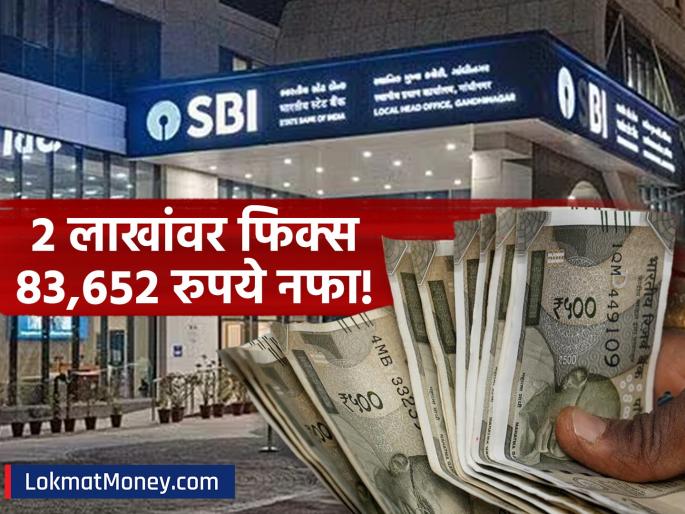SBI FD Rates Earn Guaranteed ₹83,652 on ₹2 Lakh Deposit Despite RBI Repo Rate Cut | रेपो रेट कपातीनंतरही FD वर बंपर रिटर्न! SBI मध्ये २ लाख जमा करून मिळेल ८३,६५२ रुपये निश्चित व्याज SBI FD Rates Earn Guaranteed ₹83,652 on ₹2 Lakh Deposit Despite RBI Repo Rate Cut | रेपो रेट कपातीनंतरही FD वर बंपर रिटर्न! SBI मध्ये २ लाख जमा करून मिळेल ८३,६५२ रुपये निश्चित व्याज