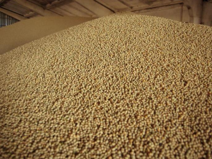 Soybean prices fall by Rs 2,000 in four days | चार दिवसांत सोयाबीन दरात २ हजारांची घसरण Soybean prices fall by Rs 2,000 in four days | चार दिवसांत सोयाबीन दरात २ हजारांची घसरण