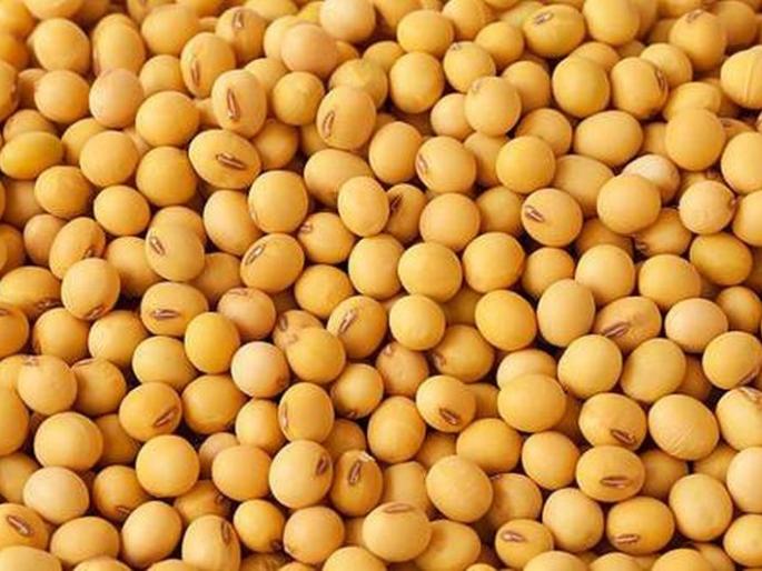 Subsidy on soybean seeds stalled! | सोयाबीन बियाण्यावरील अनुदान रखडले! Subsidy on soybean seeds stalled! | सोयाबीन बियाण्यावरील अनुदान रखडले!