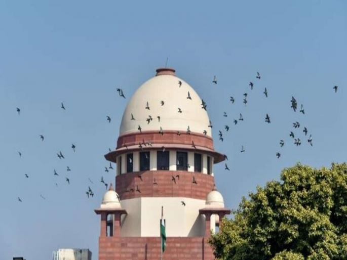 Supreme Court dismissed the petition filed against the BJP MP and asked the petitioner to prepare for the next elections | "तुम्हाला ४ हजार मतं मिळाली, पुढच्या निवडणुकीची तयारी करा"; कोर्टाने फेटाळली भाजप खासदाराविरोधातील याचिका Supreme Court dismissed the petition filed against the BJP MP and asked the petitioner to prepare for the next elections | "तुम्हाला ४ हजार मतं मिळाली, पुढच्या निवडणुकीची तयारी करा"; कोर्टाने फेटाळली भाजप खासदाराविरोधातील याचिका