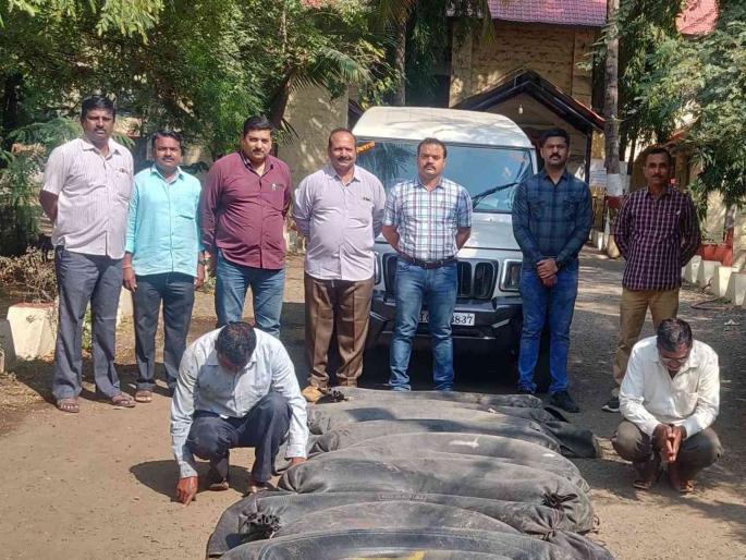 In Solapur, the State Excise Department seized a jeep carrying illegal liquor | सिनेस्टाईल पाठलाग करून दारूची बेकायदेशीर वाहतूक करणारी जीप पकडली In Solapur, the State Excise Department seized a jeep carrying illegal liquor | सिनेस्टाईल पाठलाग करून दारूची बेकायदेशीर वाहतूक करणारी जीप पकडली