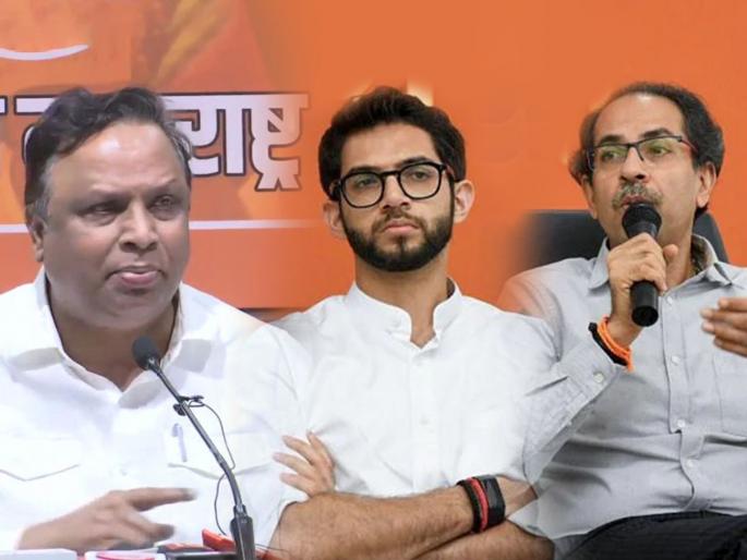 BJP Ashish Shelar letter to Shivsena Chief Uddhav Thackeray; want to call your party Penguin Sena now? | आशिष शेलारांचं उद्धव ठाकरेंना पत्र; आता तुमच्या पक्षाला पेग्विन सेना म्हणायचं का? BJP Ashish Shelar letter to Shivsena Chief Uddhav Thackeray; want to call your party Penguin Sena now? | आशिष शेलारांचं उद्धव ठाकरेंना पत्र; आता तुमच्या पक्षाला पेग्विन सेना म्हणायचं का?