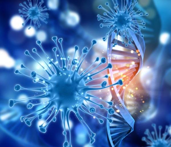 Death of three infected patients in Gondia district; 1177 patients overcome corona | गोंदिया जिल्ह्यात तीन बाधित रुग्णांचा मृत्यू; ११७७ रूग्णांची कोरोनावर मात Death of three infected patients in Gondia district; 1177 patients overcome corona | गोंदिया जिल्ह्यात तीन बाधित रुग्णांचा मृत्यू; ११७७ रूग्णांची कोरोनावर मात