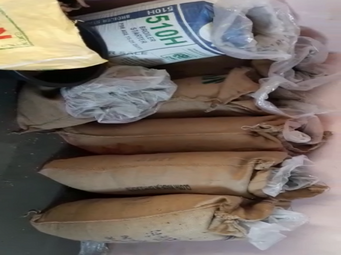 Millions of Mawa seized from Pathardi house; Police action | पाथर्डीत घरामधून लाखोंचा मावा जप्त; पोलिसांची कारवाई Millions of Mawa seized from Pathardi house; Police action | पाथर्डीत घरामधून लाखोंचा मावा जप्त; पोलिसांची कारवाई