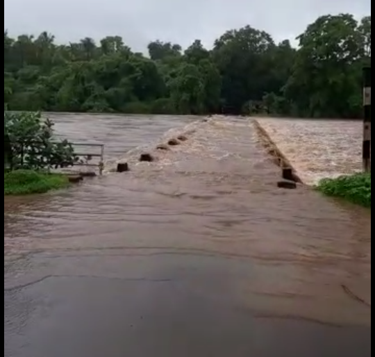 Rainstorm in Kankavli taluka! Water on Kankavali-Achra road | कणकवली तालुक्यात पावसाचा कहर ! कणकवली-आचरा रस्त्यावर पाणी Rainstorm in Kankavli taluka! Water on Kankavali-Achra road | कणकवली तालुक्यात पावसाचा कहर ! कणकवली-आचरा रस्त्यावर पाणी
