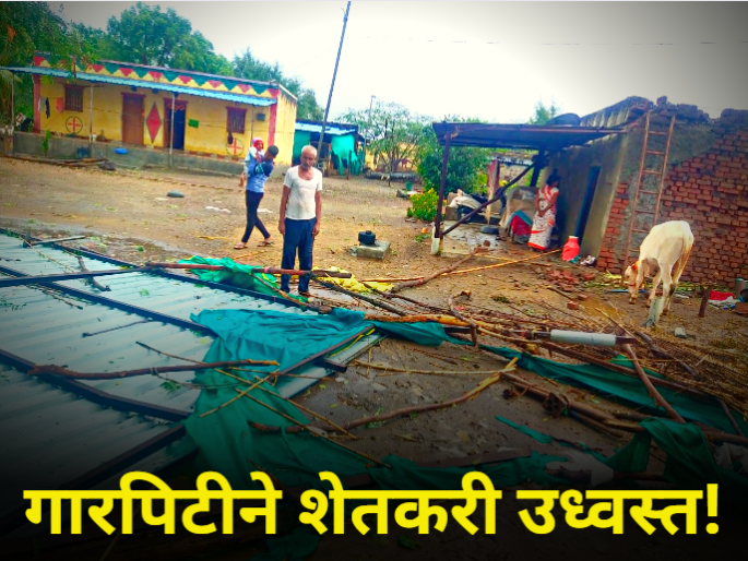 ahmednagar maharashtra heavy rain lightining crop farm produce damage Untimely rain has ruined everything | "अवकाळी पावसानं सगळं उध्वस्त झालंय, घरात सगळे एकमेकांचे सुकलेले चेहरे पाहतायेत"