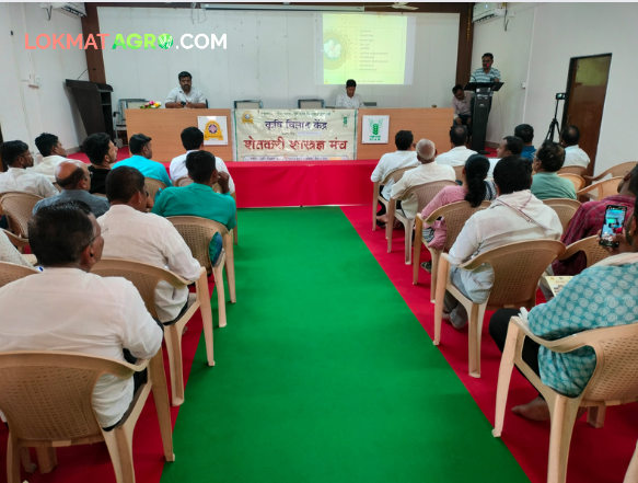 Cotton Cultivation : "Integrated cropping systems should be adopted for cotton, tur cultivation" | Cotton Cultivation : "कापूस, तूर लागवडीसाठी एकात्मिक पीक पद्धतींचा अवलंब करावा" Cotton Cultivation : "Integrated cropping systems should be adopted for cotton, tur cultivation" | Cotton Cultivation : "कापूस, तूर लागवडीसाठी एकात्मिक पीक पद्धतींचा अवलंब करावा"