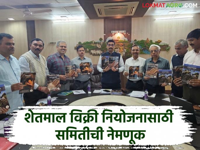 Agriculture Commissioner "Use the e-NAM system properly, take action if agricultural produce is not purchased at 'MSP'" | Agriculture Commissioner : "ई-नाम प्रणालीचा योग्य वापर करा, ‘एमएसपी’ने शेतमाल खरेदी न झाल्यास कारवाई करा" Agriculture Commissioner "Use the e-NAM system properly, take action if agricultural produce is not purchased at 'MSP'" | Agriculture Commissioner : "ई-नाम प्रणालीचा योग्य वापर करा, ‘एमएसपी’ने शेतमाल खरेदी न झाल्यास कारवाई करा"