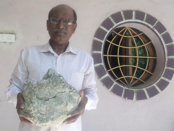 Fossils of giant dinosaurs found near Vani | वणीजवळ सापडली विशालकाय डायनोसॉरची जिवाष्मे Fossils of giant dinosaurs found near Vani | वणीजवळ सापडली विशालकाय डायनोसॉरची जिवाष्मे