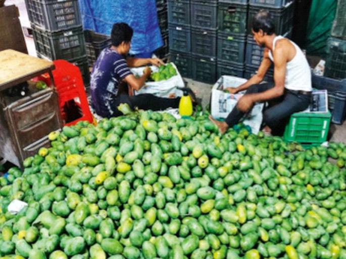 Mango fever struck by Mahamumbai; The highest inflow was 44 thousand tons in the month of May | महामुंबईकरांनी मारला आंब्यावर ताव; मे महिन्यात सर्वाधिक ४४ हजार टन आवक Mango fever struck by Mahamumbai; The highest inflow was 44 thousand tons in the month of May | महामुंबईकरांनी मारला आंब्यावर ताव; मे महिन्यात सर्वाधिक ४४ हजार टन आवक