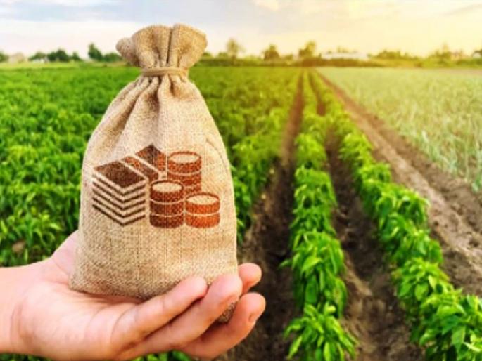 60 thousand hectares for cotton, 51 thousand for soybeans; Crop wise rates of Kharif crop loan allocation fixed | कपाशीला हेक्टरी ६० हजार, सोयाबीनला मिळणार ५१ हजार; खरीप पीक कर्ज वाटपाचे पीकनिहाय दर निश्चित 60 thousand hectares for cotton, 51 thousand for soybeans; Crop wise rates of Kharif crop loan allocation fixed | कपाशीला हेक्टरी ६० हजार, सोयाबीनला मिळणार ५१ हजार; खरीप पीक कर्ज वाटपाचे पीकनिहाय दर निश्चित