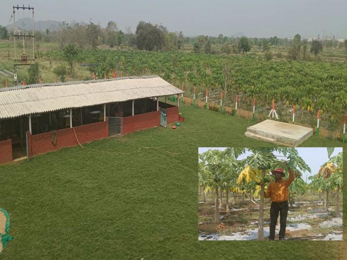 agri-tourism will be opened in the district, works in Mathadi Shivara are in final stage | जिल्ह्यात कृषी पर्यटनाचे नवे दालन उघडणार, मथाडी शिवारात कामे अंतिम टप्प्यात agri-tourism will be opened in the district, works in Mathadi Shivara are in final stage | जिल्ह्यात कृषी पर्यटनाचे नवे दालन उघडणार, मथाडी शिवारात कामे अंतिम टप्प्यात