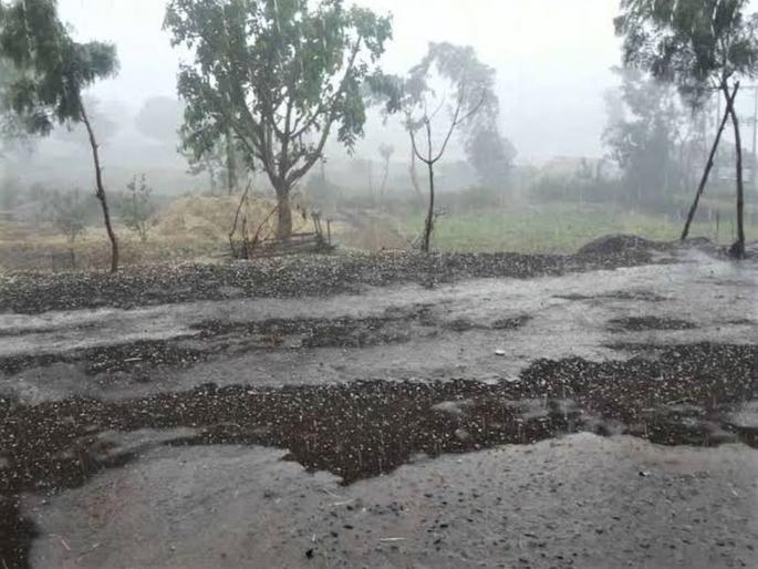 Three days of gusty wind and hail Danger to Rabi crops, health complaints will increase; Weather forecast | तीन दिवस सोसाट्याचा वारा अन् गारपिटीचे! रब्बी पिकांना धोका, आरोग्याच्या तक्रारी वाढणार; हवामान खात्याचा अंदाज Three days of gusty wind and hail Danger to Rabi crops, health complaints will increase; Weather forecast | तीन दिवस सोसाट्याचा वारा अन् गारपिटीचे! रब्बी पिकांना धोका, आरोग्याच्या तक्रारी वाढणार; हवामान खात्याचा अंदाज