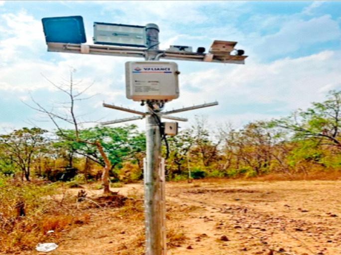 The 'virtual wall' in Tadoba is preventing the attacks of wild animals! | ताडोबातील ‘आभासी भिंत’ रोखतेय वन्यप्राण्यांचे हल्ले! The 'virtual wall' in Tadoba is preventing the attacks of wild animals! | ताडोबातील ‘आभासी भिंत’ रोखतेय वन्यप्राण्यांचे हल्ले!