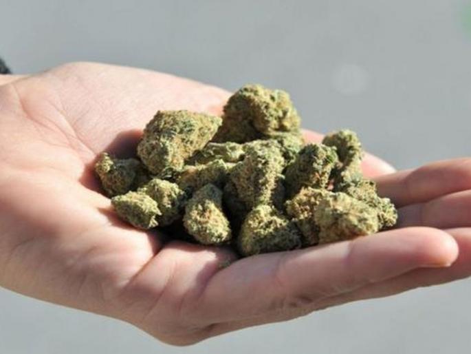 four arrested consuming ganja in the lanja | लांजात गांजाचे सेवन करणाऱ्या चाैघांच्या मुसक्या आवळल्या four arrested consuming ganja in the lanja | लांजात गांजाचे सेवन करणाऱ्या चाैघांच्या मुसक्या आवळल्या