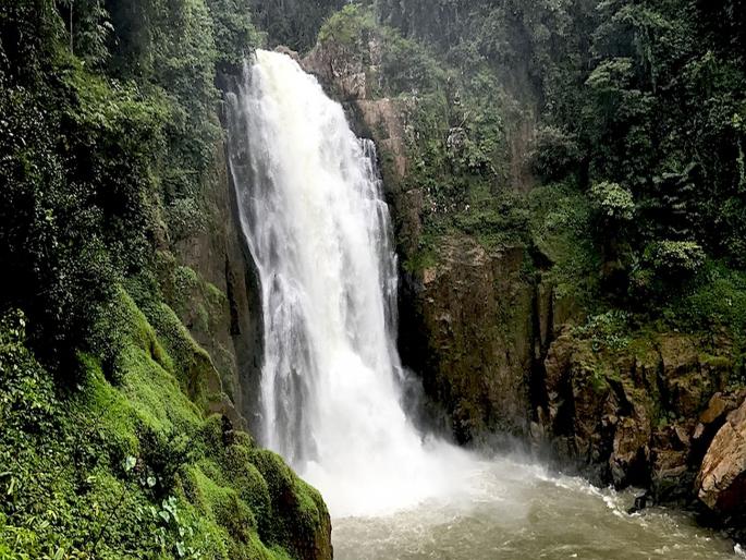 Heartbreaking! elephants drowned in Haew Narok Waterfall; 6 dead | हृदयद्रावक! पिल्लाला वाचविण्याच्या प्रयत्नात हत्तींचा कळपच वाहून गेला; 6 मृत्युमुखी Heartbreaking! elephants drowned in Haew Narok Waterfall; 6 dead | हृदयद्रावक! पिल्लाला वाचविण्याच्या प्रयत्नात हत्तींचा कळपच वाहून गेला; 6 मृत्युमुखी