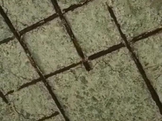 Plaster of roof collapsed in Mumbra, brothers and sisters injured | मुंब्र्यात छताचे प्लँस्टर कोसळले भाऊ-बहिण जखमी Plaster of roof collapsed in Mumbra, brothers and sisters injured | मुंब्र्यात छताचे प्लँस्टर कोसळले भाऊ-बहिण जखमी