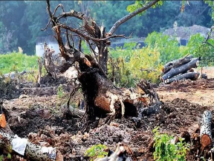Opposition to the Aarey Carshed for environmental protection | पर्यावरणाच्या जतनासाठीच आरे कारशेडला विरोध Opposition to the Aarey Carshed for environmental protection | पर्यावरणाच्या जतनासाठीच आरे कारशेडला विरोध