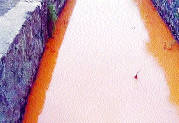 Paddy cultivation endangered due to discharge of chemical wastewater into nala | रासायनिक सांडपाणी नाल्यात सोडल्याने भातशेती धोक्यात Paddy cultivation endangered due to discharge of chemical wastewater into nala | रासायनिक सांडपाणी नाल्यात सोडल्याने भातशेती धोक्यात