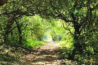 Industrialization hits agriculture | औद्योगिकरणाचा शेतीला फटका Industrialization hits agriculture | औद्योगिकरणाचा शेतीला फटका